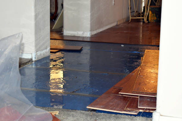 Professional Sewage Cleanup technician working in Lawrence, IN